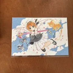 カードキャプターさくら CLAMP展 ポストカード