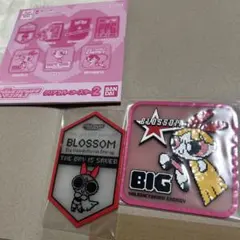 パワーパフガールズ ブロッサム クリアラバーコースター2個セット