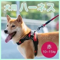 犬用 ハーネス レッド 赤 散歩 胴輪 ワンタッチ 負担軽減 Mサイズ フック付のサムネイル
