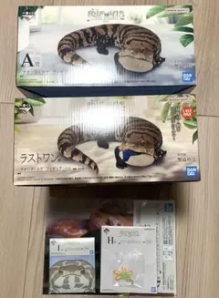 一番くじ 爬虫類＆両生類　アオジタトカゲ A賞 ラストワン賞 おまけ付き