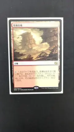 MTG 不毛の大地 Wasteland EMA 日本語版 - メルカリ