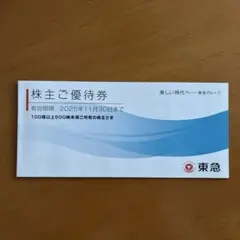 東急ホテル、東急百貨店、東急ストア株主優待券　メルカリ便即日発送