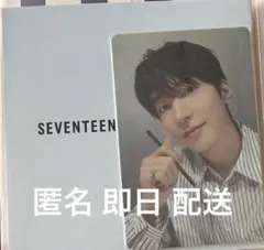 SEVENTEEN BE@RBRICK ベアブリック ウォヌ トレカ