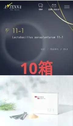 【正規品】II-1 健康補助食品 10個入り