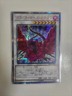 遊戯王】ブラックローズドラゴン25th PSA10 匿名配送 - メルカリ