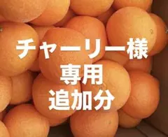 チャーリー様　専用　追加分