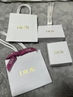 DIOR ショッパー4点セット