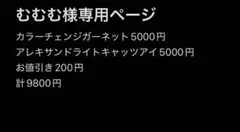 むむむ様専用ページ