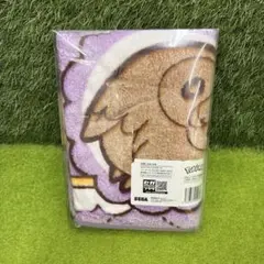 ポケットモンスター ポケモン ブランケット ピカチュウ　イーブイ