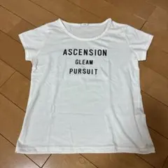 ハニーズCOLZA 白Tシャツ M