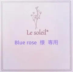 2026年最新】#ラグーンフローライトの人気アイテム - メルカリ