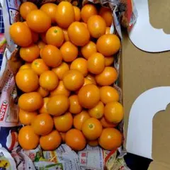 ボッソ様専用ページです(⁠^⁠^⁠)