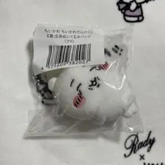 ちいかわ　ちいかわだらけくじ　E賞　全身ぬいぐるみバッジ　フ！！