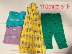 CodyCoby110センチ