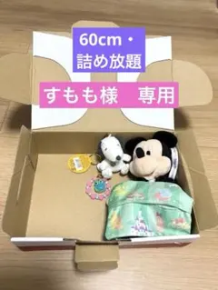 在庫詰め！　ゆうパケットプラス　詰め放題　受付中