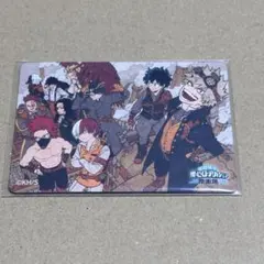 ヒロアカ　マグネットステッカー　爆豪勝己　緑谷出久　轟焦凍　切島鋭児郎　相澤消太