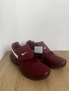 【新品•未使用】　Nike Air Max Plus TIEMPO