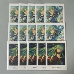 日々樹渉　ぱしゃっつ