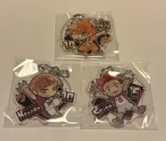ハイキュー アクリルキーホルダー 日向翔陽 白布賢二郎 天童覚