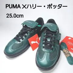 【魔法の1足】PUMA × ハリーポッター パレルモ2 スリザリン　25cm