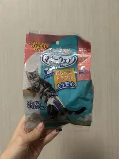 Item thumbnail for item 326f822a-82fd-4422-856b-e1f99a98b3a2