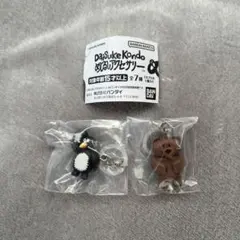 Daisuke Kondoめじるしアクセサリー