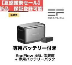 2026年最新】ECOFLOW glacierの人気アイテム - メルカリ