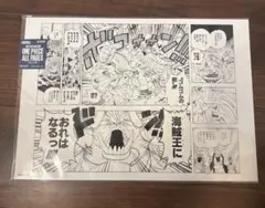 ONE PIECE BASE SHOP ALL PAGESパンクハザード編 ロー ONE PIECE BASESHOP ALL PAGES パンクハザード ロー 【公式通販】