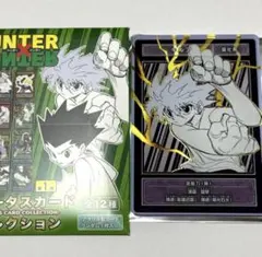 ハンターハンター ステータスカードコレクション 第1弾 未開封10点