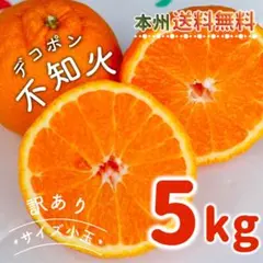 訳あり 和歌山県産 不知火 5kg サイズ小玉 デコポン しらぬひ 有田みかん1
