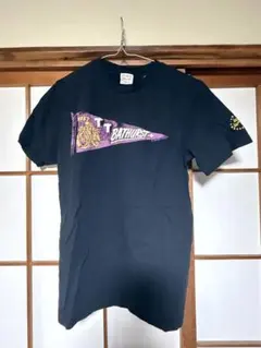 Item thumbnail for item a7d5527e-f10d-4714-a401-3f26897effeb