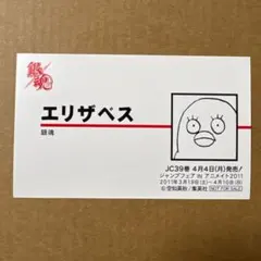 アニメイト 2011 ジャンプフェア 特典 名刺カード 銀魂 エリザベス