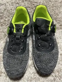 Item thumbnail for item d4848661-0058-4dd6-a436-9346e9f4482c