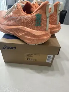 ASICS NOVABLAST 5 TOKYO 27.5cm