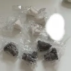 おすわりーぬ4　ガチャガチャ　カプセルトイ