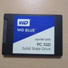 WD Blue 250GB SATA SSD