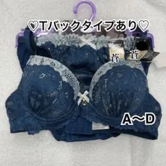 ディープカラーダブルレースブラショーツセット(ネイビー)