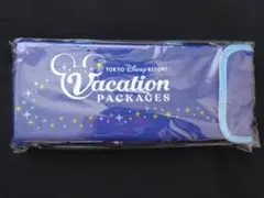 ディズニー　アメニティ　ポータブルクッション②