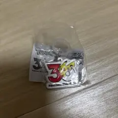 ポケモン　30周年　メタルチャームマスコット　ピカチュウ　限定　レア