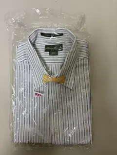 エディーバウアー　ボタンダウンストライプ半袖シャツ