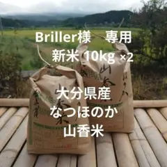 2026年最新】山香米の人気アイテム - メルカリ