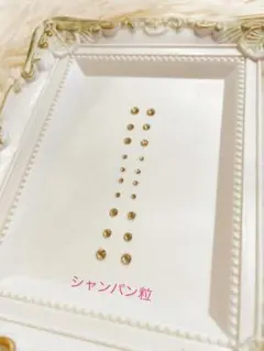 耳ツボジュエリー　シャンパン粒