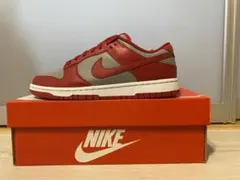 NIKE DUNK LOW RETRO 