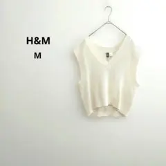 Item thumbnail for item 669024f5-0233-4e85-ad43-a9f483e18f53