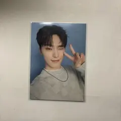 Seventeen home トレカ　ディノ