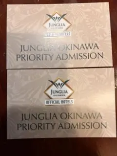 JUNGLIA OKINAWA 優先入場券 2枚セットのサムネイル