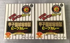 阪神タイガース レトロ 甲子園球場特製ビーフカレー空箱