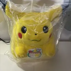 【新品】ポケモン30周年記念おかえり!ピカチュウ1/1