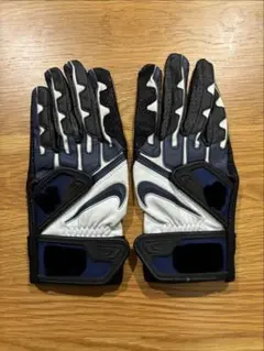 Item thumbnail for item 9c908519-f0bc-4dd1-8482-426b0628ba04