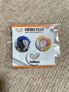 ハイキュー ミニ缶バッジセット SVリーグ 日向翔陽 影山飛雄